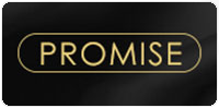 Promise Vietnam Logo